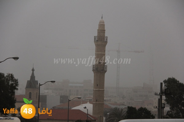 mina2 adrar jfe (22).jpg